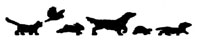 <p><strong><font size="5"><font face="Comic Sans MS"><span>Sweeten Creek Animal&nbsp;and Bird Hospital</span></font></font></strong><span></span></p>
<h2><font size="2"><strong><font face="Comic Sans MS"><span></span></font></strong></font><font face="Comic Sans MS" size="2"><span>&nbsp;&nbsp;&nbsp;&nbsp;&nbsp;&nbsp; Providing Special Care for Cats, Dogs, Birds, and Exotic pets since 1995</span></font><span style="font-size: 12pt; font-family: 'Times New Roman'"></span></h2>
<p><span style="font-size: 12pt; font-family: 'Times New Roman'"></span></p>